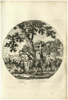 Vol.%20Z%20132%2C%20tav.%2082